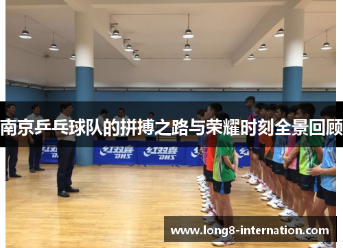 南京乒乓球队的拼搏之路与荣耀时刻全景回顾
